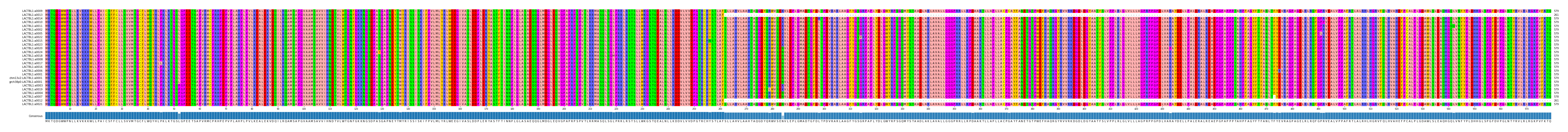 Multiple Alignments (by translate haplotype similarity)
