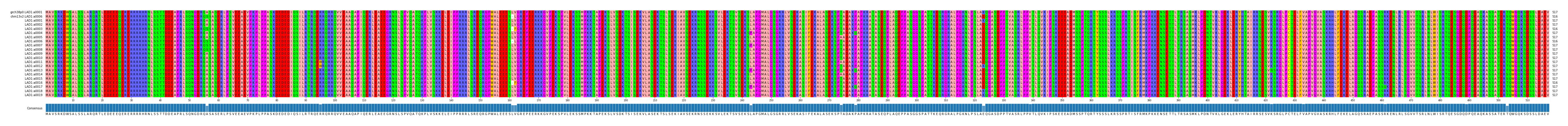 Multiple Alignments (by translate haplotype frequency)