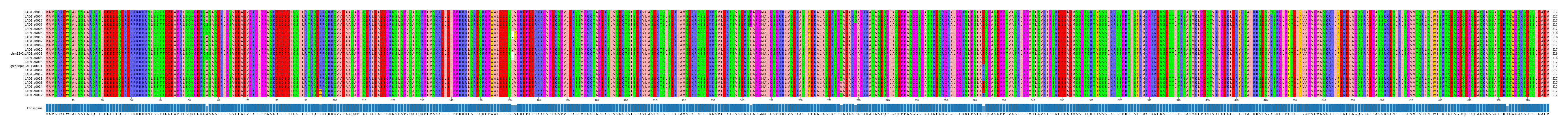 Multiple Alignments (by translate haplotype similarity)