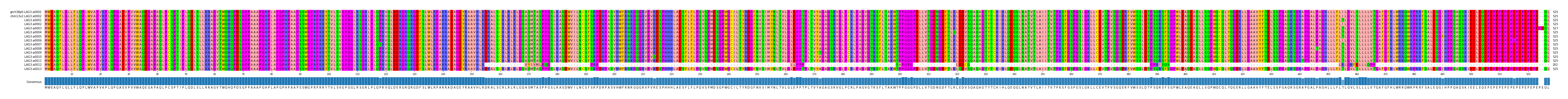 Multiple Alignments (by translate haplotype frequency)