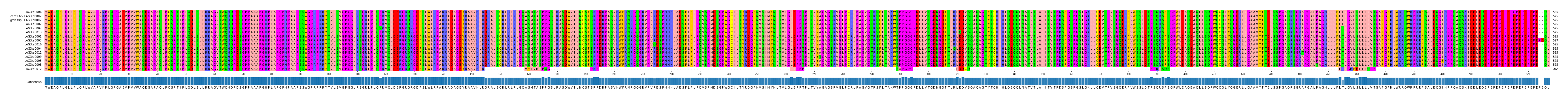 Multiple Alignments (by translate haplotype similarity)