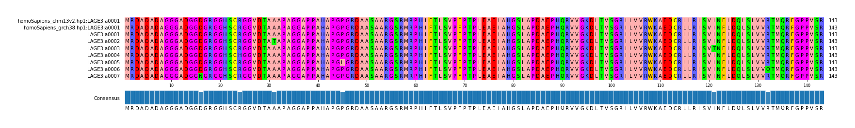 Multiple Alignments (by translate haplotype frequency)