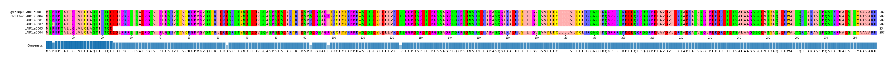 Multiple Alignments (by translate haplotype frequency)
