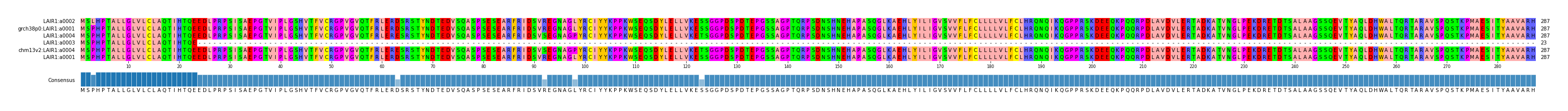 Multiple Alignments (by translate haplotype similarity)