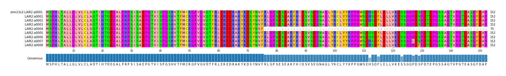Multiple Alignments (by translate haplotype frequency)