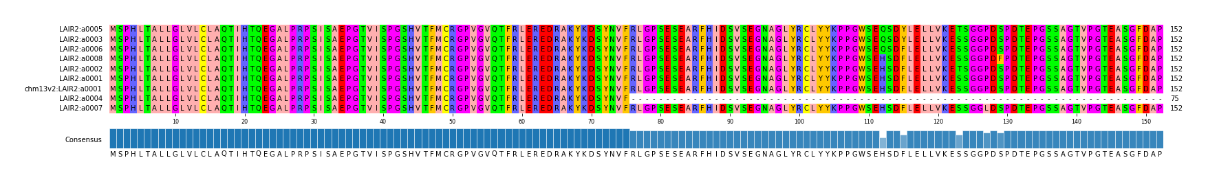 Multiple Alignments (by translate haplotype similarity)