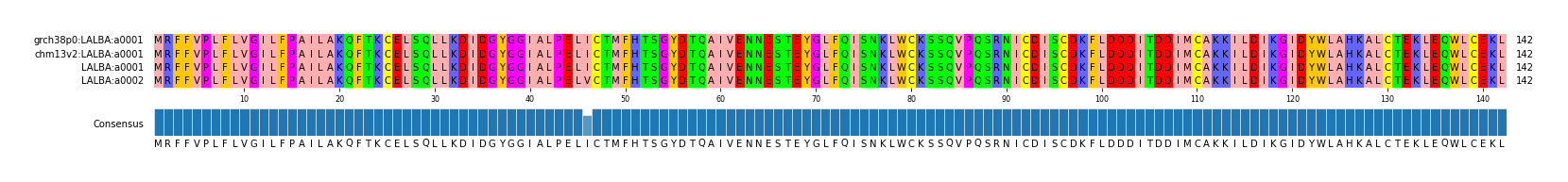 Multiple Alignments (by translate haplotype similarity)