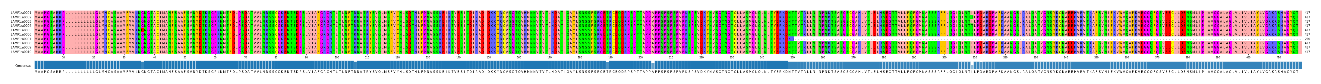 Multiple Alignments (by translate haplotype frequency)
