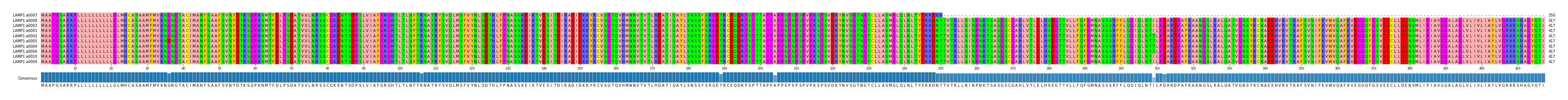 Multiple Alignments (by translate haplotype similarity)