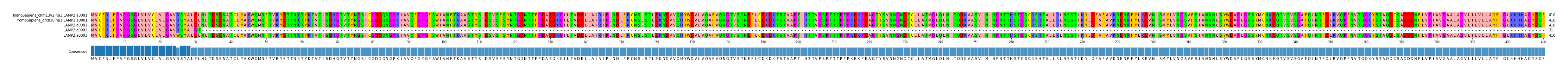 Multiple Alignments (by translate haplotype frequency)