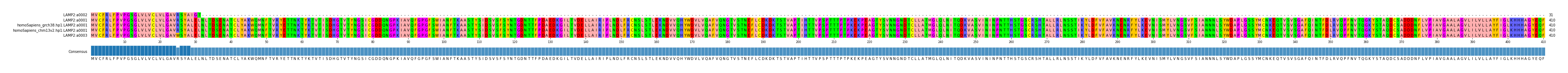 Multiple Alignments (by translate haplotype similarity)