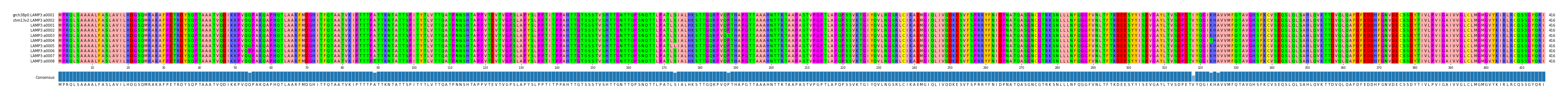 Multiple Alignments (by translate haplotype frequency)