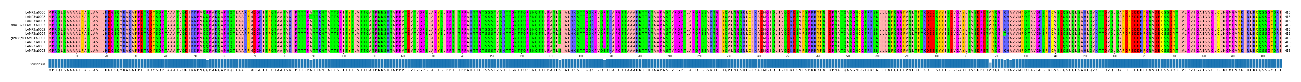 Multiple Alignments (by translate haplotype similarity)