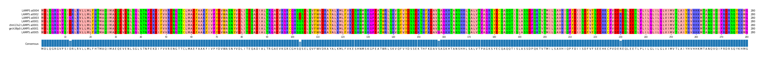 Multiple Alignments (by translate haplotype similarity)