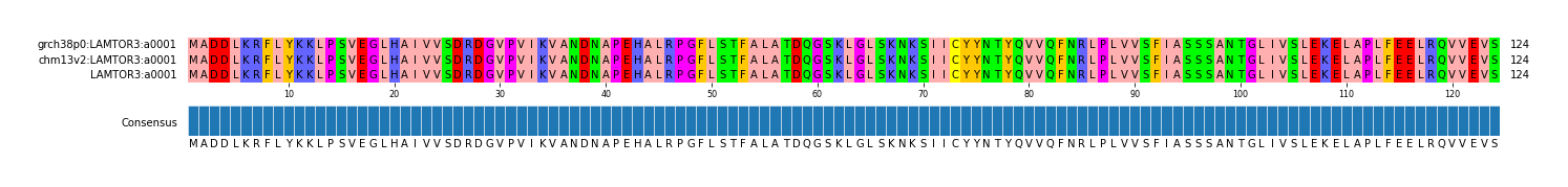Multiple Alignments (by translate haplotype similarity)