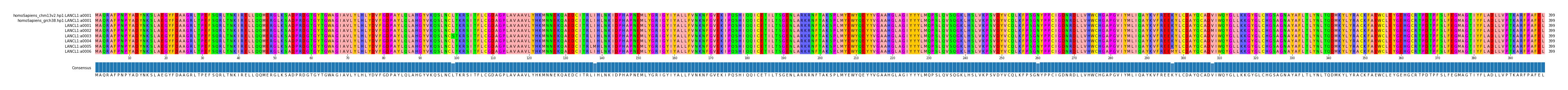 Multiple Alignments (by translate haplotype frequency)