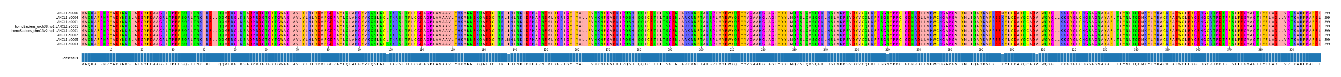 Multiple Alignments (by translate haplotype similarity)