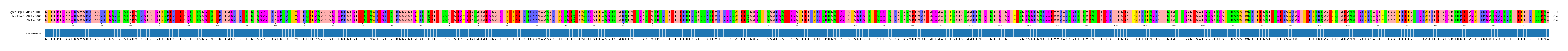 Multiple Alignments (by translate haplotype similarity)