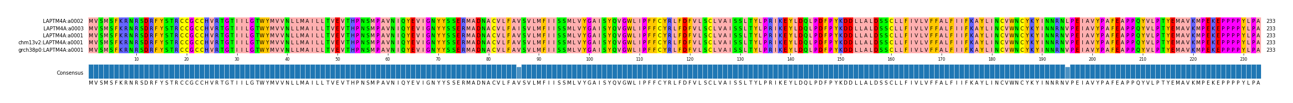 Multiple Alignments (by translate haplotype similarity)