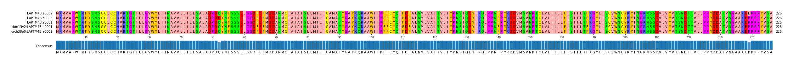 Multiple Alignments (by translate haplotype similarity)