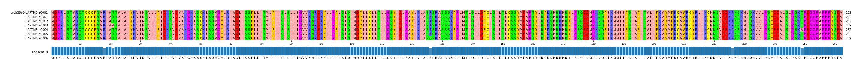 Multiple Alignments (by translate haplotype frequency)