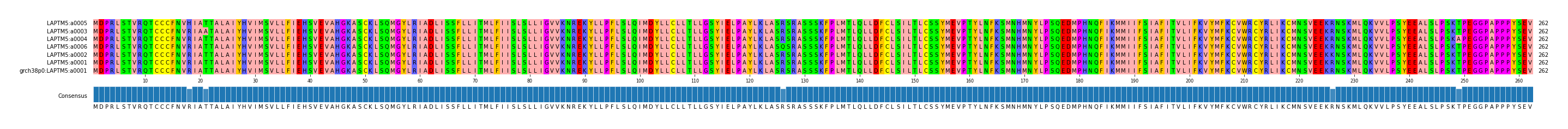 Multiple Alignments (by translate haplotype similarity)