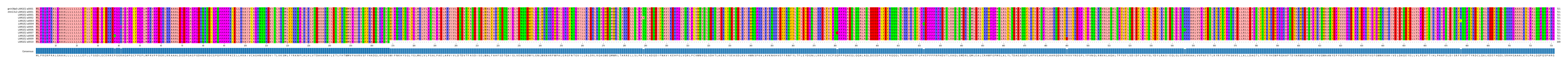 Multiple Alignments (by translate haplotype frequency)