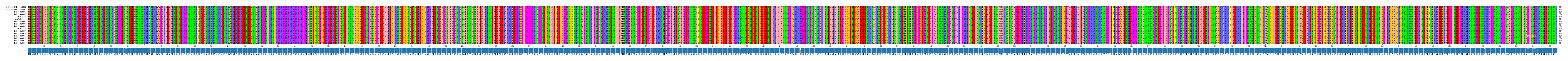 Multiple Alignments (by translate haplotype frequency)