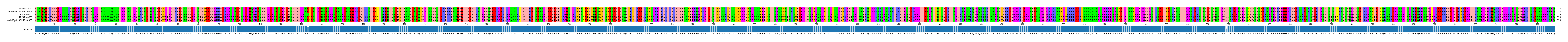 Multiple Alignments (by translate haplotype similarity)