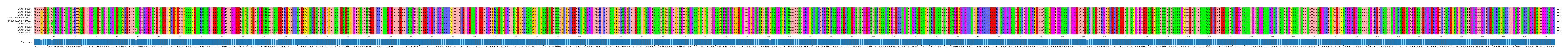 Multiple Alignments (by translate haplotype similarity)