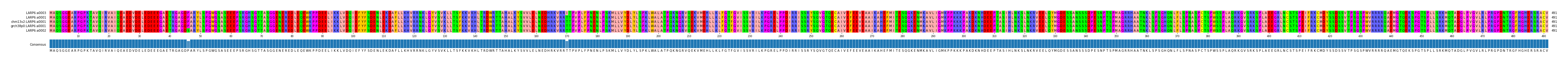Multiple Alignments (by translate haplotype similarity)