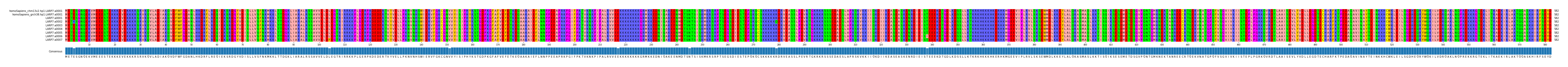 Multiple Alignments (by translate haplotype frequency)
