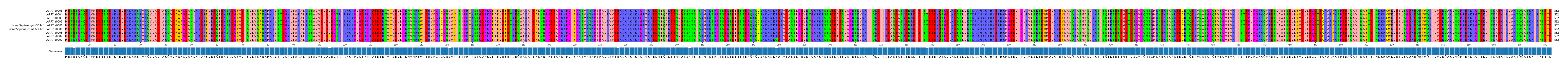 Multiple Alignments (by translate haplotype similarity)