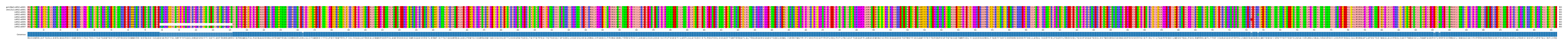 Multiple Alignments (by translate haplotype frequency)