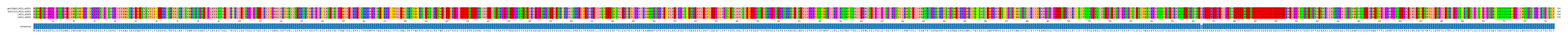 Multiple Alignments (by translate haplotype similarity)