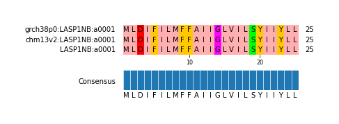 Multiple Alignments (by translate haplotype similarity)