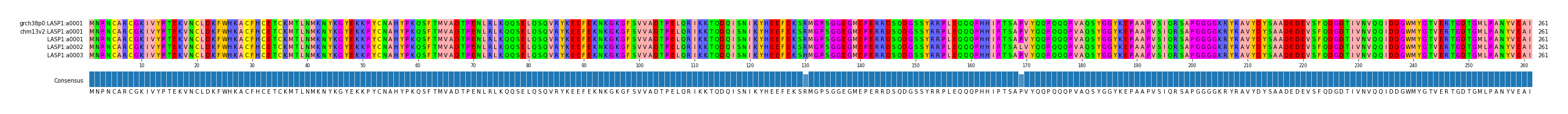 Multiple Alignments (by translate haplotype frequency)