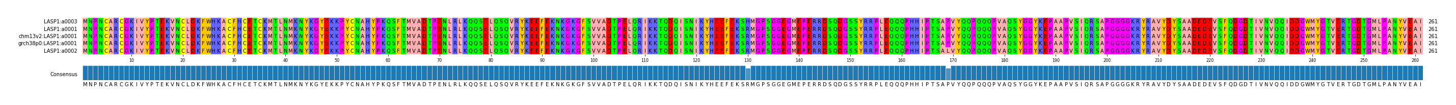 Multiple Alignments (by translate haplotype similarity)