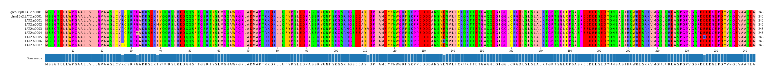 Multiple Alignments (by translate haplotype frequency)