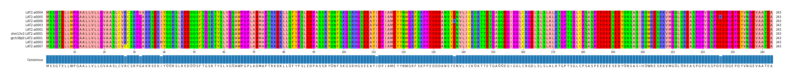Multiple Alignments (by translate haplotype similarity)