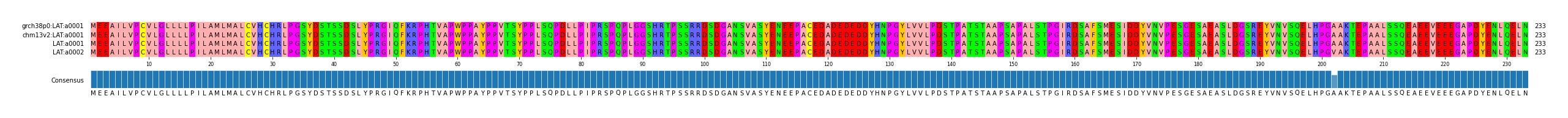 Multiple Alignments (by translate haplotype similarity)