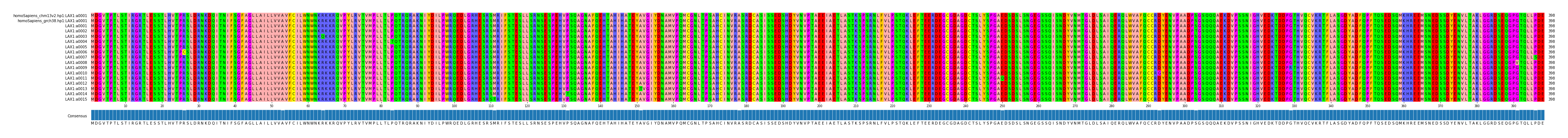 Multiple Alignments (by translate haplotype frequency)