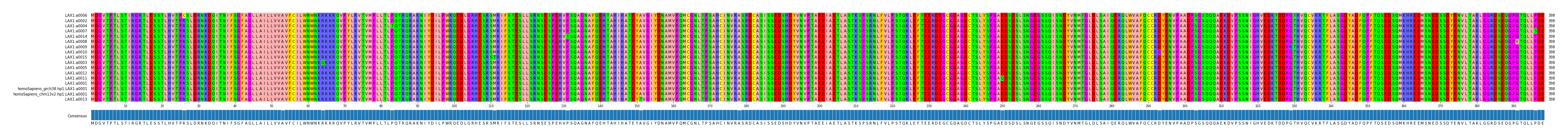 Multiple Alignments (by translate haplotype similarity)