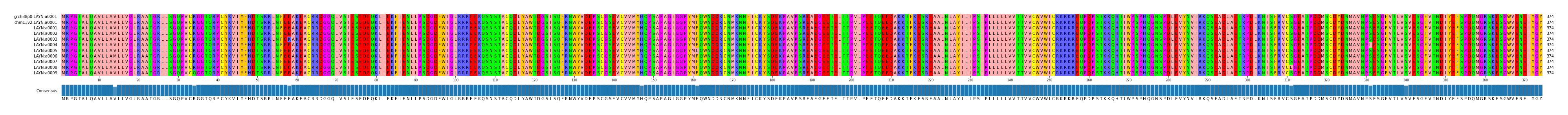 Multiple Alignments (by translate haplotype frequency)