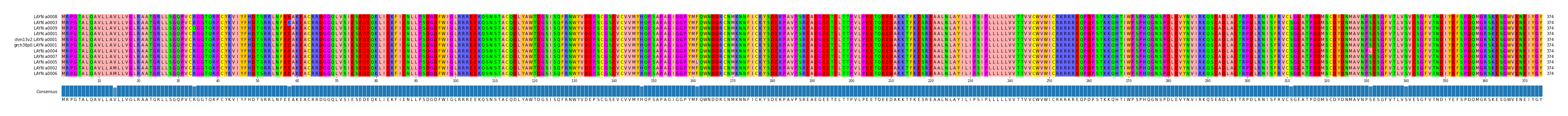 Multiple Alignments (by translate haplotype similarity)