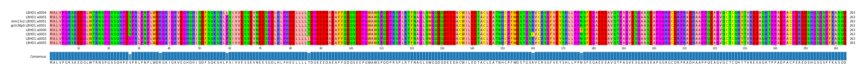 Multiple Alignments (by translate haplotype similarity)