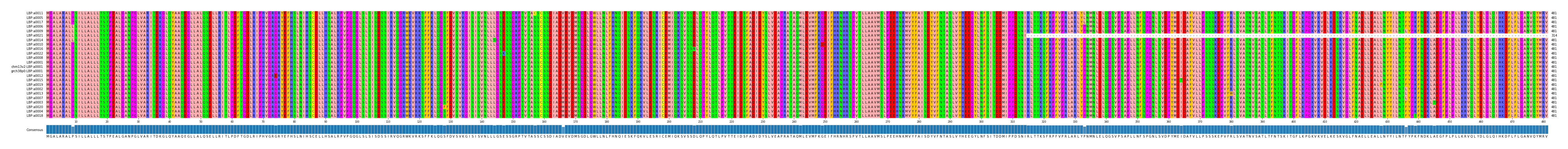 Multiple Alignments (by translate haplotype similarity)