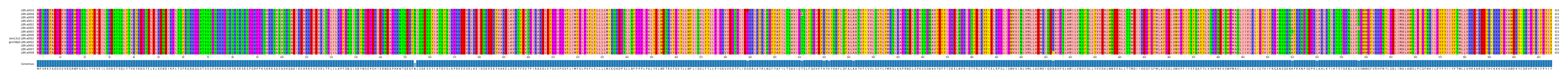 Multiple Alignments (by translate haplotype similarity)