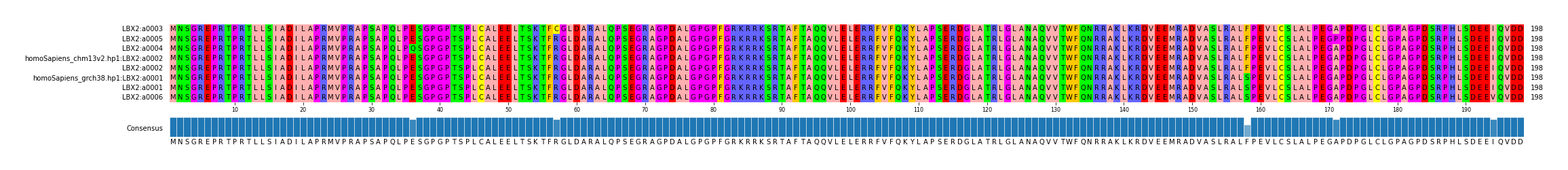 Multiple Alignments (by translate haplotype similarity)