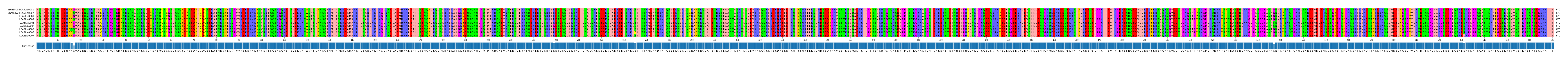 Multiple Alignments (by translate haplotype frequency)